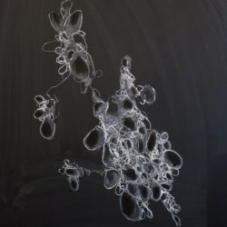 Brüche der Wahrnehmung