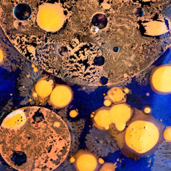 The Five Obstructions